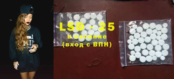 шишки Слюдянка