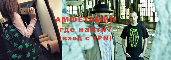 шишки Слюдянка