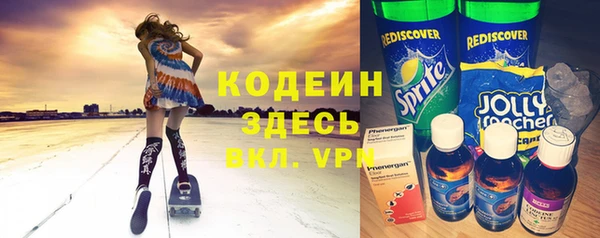 шишки Слюдянка