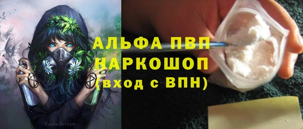 шишки Слюдянка